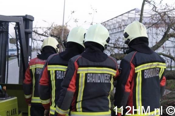 Stormschade G.VanDortWeg WDN (2)