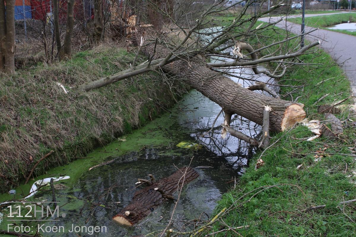 Broekweg LDN (21)