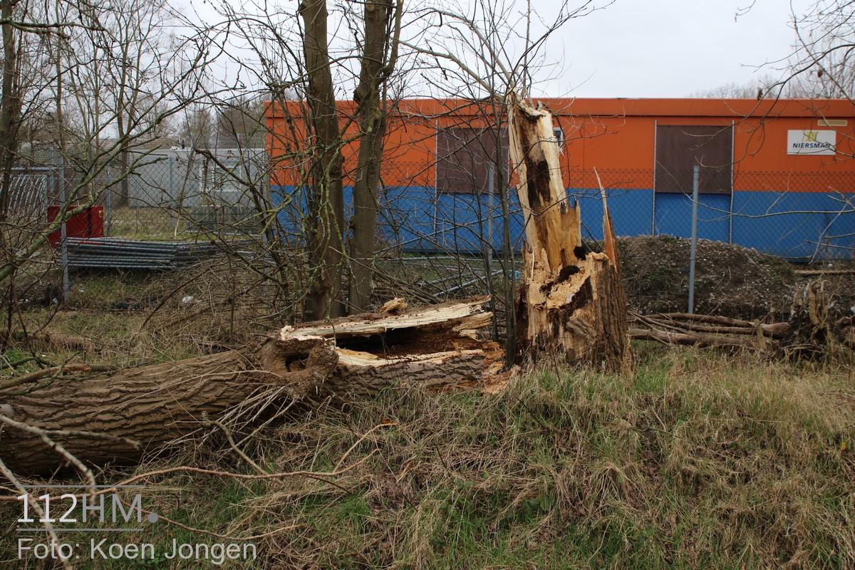 Broekweg LDN (25)
