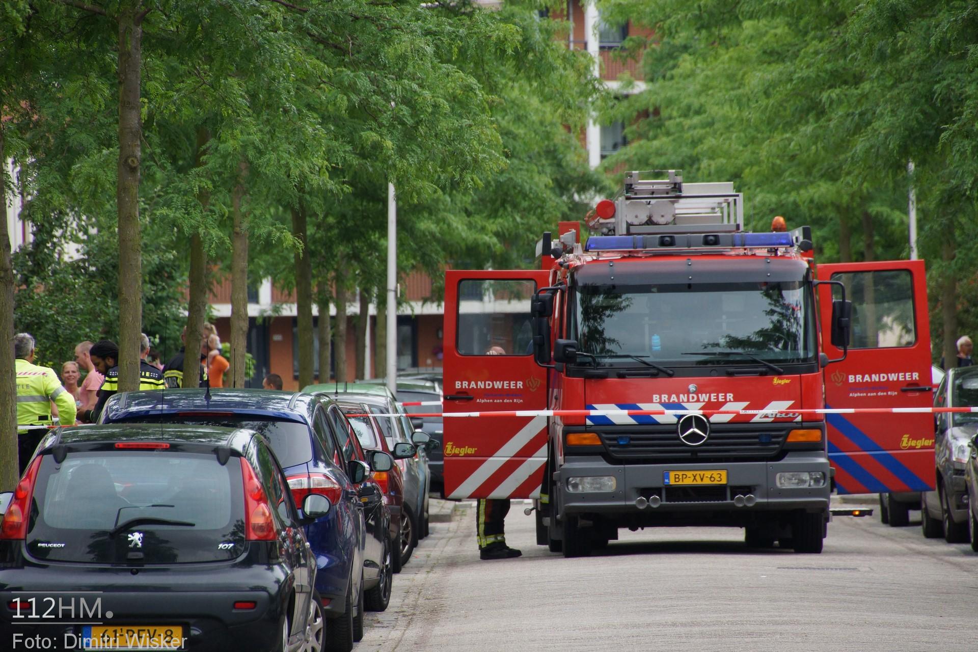 DSC08237 (Kopie)