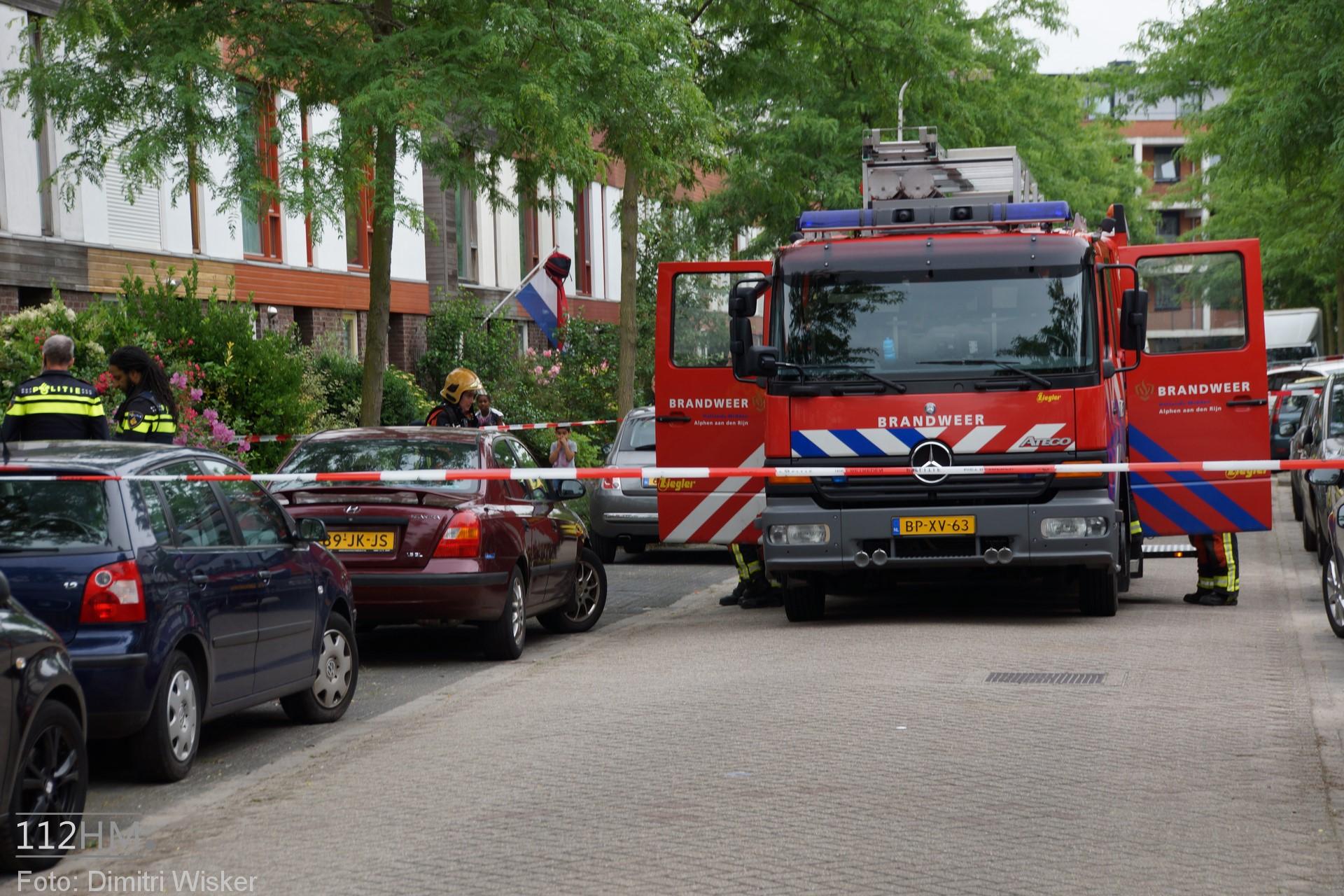 DSC08239 (Kopie)