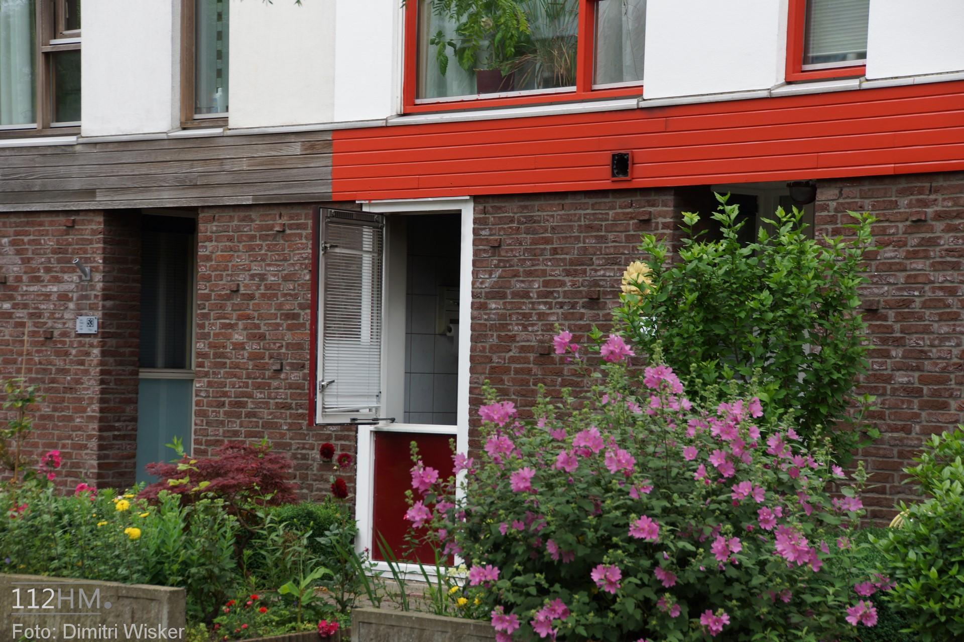 DSC08248 (Kopie)