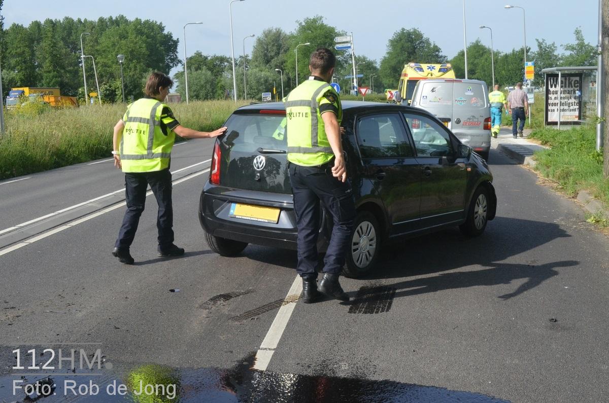 Kop staart Beijerincklaan WDN 12